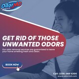 Proficient Odor Removal Services in Cape Coral