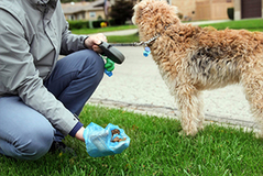 Pet Waste Disposal in Stone Mountain