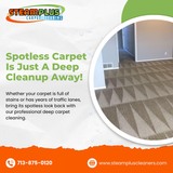 Experience Superior Carpet Cleaning in Sugar Land TX