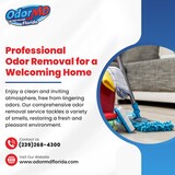 Effective Odor Removal Services in Cape Coral