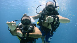 Explore the Depths: Your PADI Certification Journey Begins Here