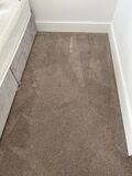 Dagenham's Premier Carpet Cleaning Experts