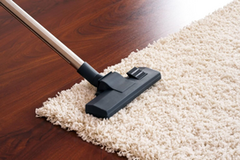 Carpet Steam Cleaning Templestowe