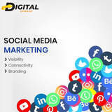 Boost Your Brand with a Leading Social Media Marketing Company in Noida