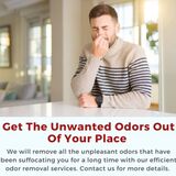 Reliable Odor Removal Services in Cape Coral