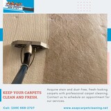 Top-tier carpet cleaning in Turlock