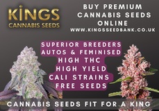 Buy Cannabis Seeds Halifax - Kings Seedbank