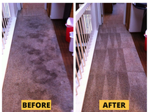 Expert Carpet Cleaning in San Jose CA