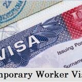 New Zealand Temporary  Visa | Zealand Immigration