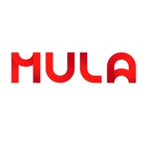 MULA-X HOLDING