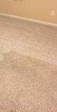 Expert Carpet Cleaning in Newton IA for Spotless Carpets