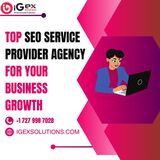 Top SEO Service Provider Agency for Your Business Growth