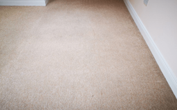 Quality Carpet Cleaning in Las Vegas NV