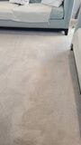 Next-Level Carpet Cleaning in Los Angeles