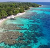 Snorkeling In Roatan