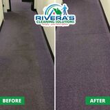 Top Carpet Cleaning in Concord, CA