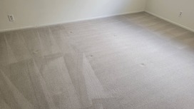 Santa Monica’s Trusted Carpet Cleaning for a Refreshed Carpets