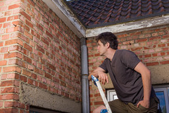 Make Your Property Safe with Building Pest Inspection in Melbourne