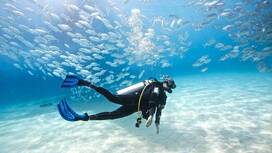 Dive into Adventure: Explore the Depths of Phuket!