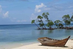 LTC Package for Andaman