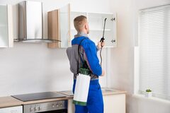 Pest control Melbourne solutions