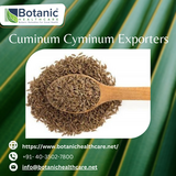 Botanic Healthcare - Exquisite Cuminum Cyminum Exporters :