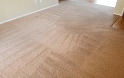 Top Rated Carpet Cleaning in Paso Robles CA