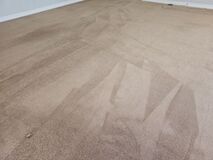 Get the Best Carpet Cleaning in Studio City