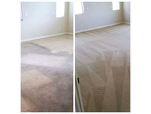 Top Rated Carpet Cleaning in Oceanside CA