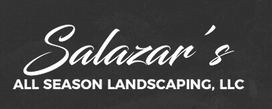 We Do It All: Trusted Landscaping Company in Munt Vernon, WA!