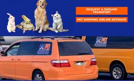 local pet transportation in New York City