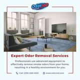 Top-notch Odor Removal Services in Cape Coral