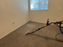 Witness Our Professional Carpet Cleaning in Bakersfield CA