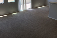 Professional Carpet Cleaning in Las Vegas