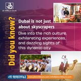 Discover the Dubai Tour Packages