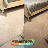 High Quality Carpet Cleaning in Sugar Land TX