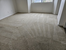 Reliable Carpet Cleaning in San Diego