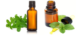 Mentha Citrata Oil Manufacturers