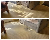 Affordable Carpet Cleaning in Los Angeles