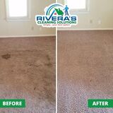 Revitalize Your Home with Top-Rated Carpet Cleaning in Concord CA