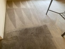 Affordable Carpet Cleaning in Charlotte NC by Experienced Professionals