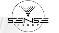 Professional services of Sense Group