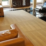 Top-Rated Carpet Cleaning Professionals in Studio City