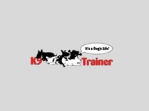 K9 Trainer - Puppy School in Alexandria