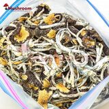 Vietnamese Magic Mushrooms Bulk