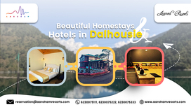 Beautiful Homestays and Hotels in Dalhousie