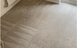 Your Trusted Choice for Carpet Cleaning in Highlands Ranch CO