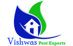 Pest Control in Bangalore | Disinfection and Sanitization Service in Bangalore | Covid Disinfection | Vishwas Pest Experts Keyword	Book Online Pest Control Service in Bangalore | Book Online Disinfection Service in Bangalore | Book Online