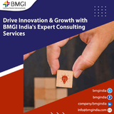 Drive Innovation and Growth with BMGI India's Expert Consulting Services