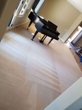 Professional Carpet Cleaning in San Diego